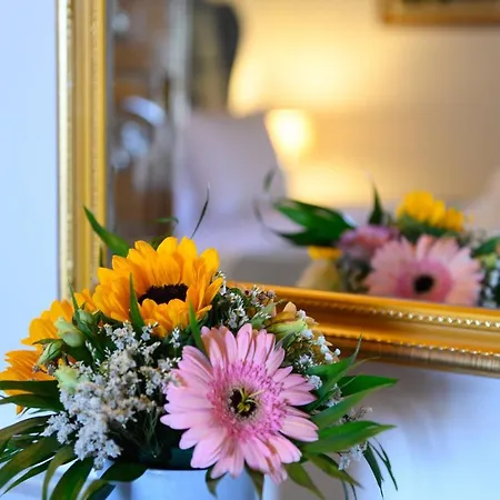 Grand Roubana * Gazatika