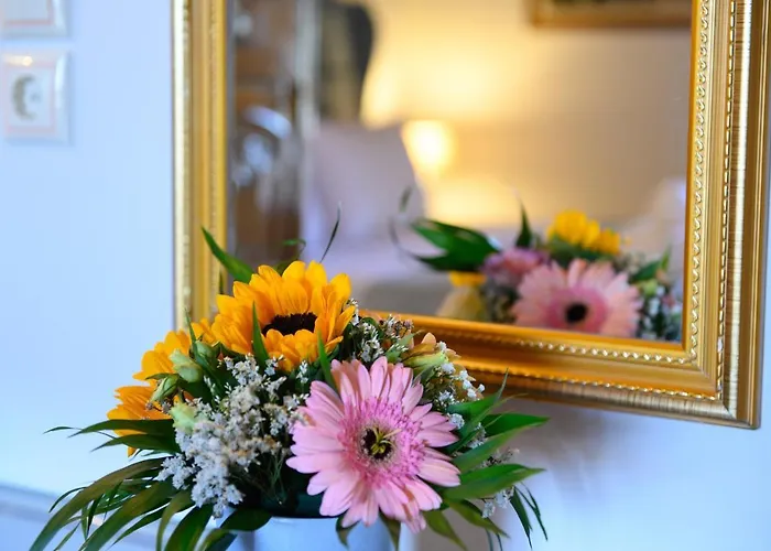 Grand Roubana * Gazátika